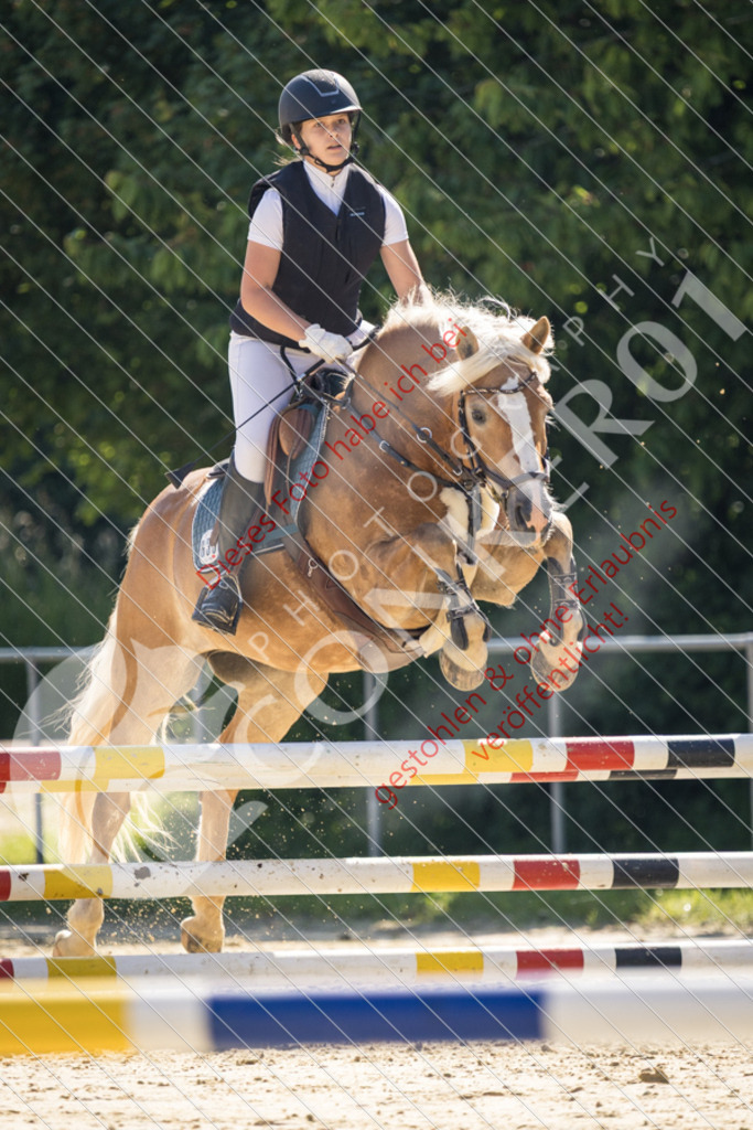 IMG_3044 | Sport-, Event- und Tierfotos in Profiqualität. Einfach auswählen, bestellen und herunterladen. Dein Moment – perfekt festgehalten.