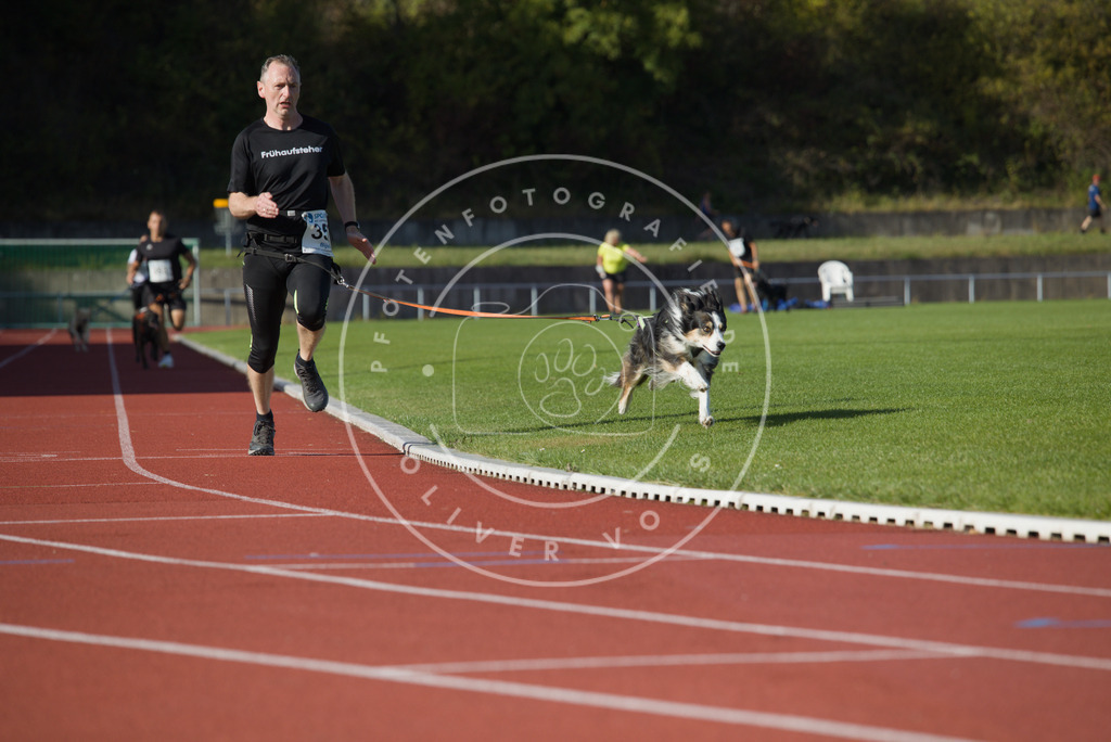 0L8A0015 | Hundefotografie, Tierfotograf, Pfotenfotografie, Fotoshooting Hund, Hunde Portrait, Hundesport, Hundeportraits, Heideshooting, Hunde, Sportfotograf, Hundefotograf, Turnierhundsport, THS,  - Realisiert mit Pictrs.com