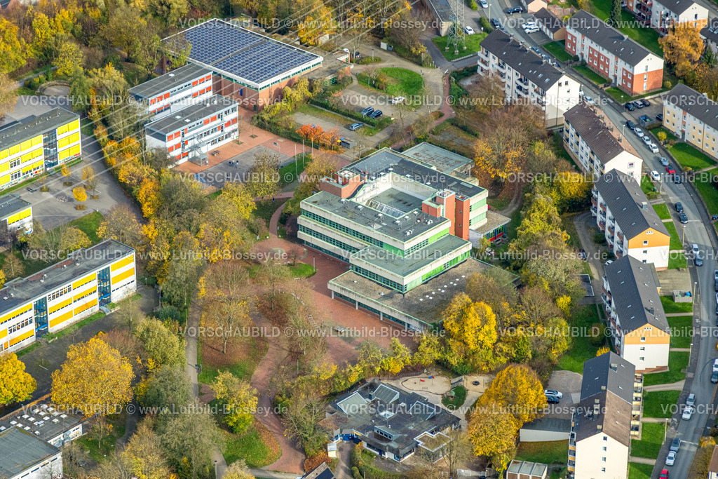 Hagen251101655 | Luftbild, Gymnasium Hohenlimburg Schule und Sporthalle Wiesenstraße, herbstliche Bäume, Hohenlimburg, Hagen, Ruhrgebiet, Nordrhein-Westfalen, Deutschland