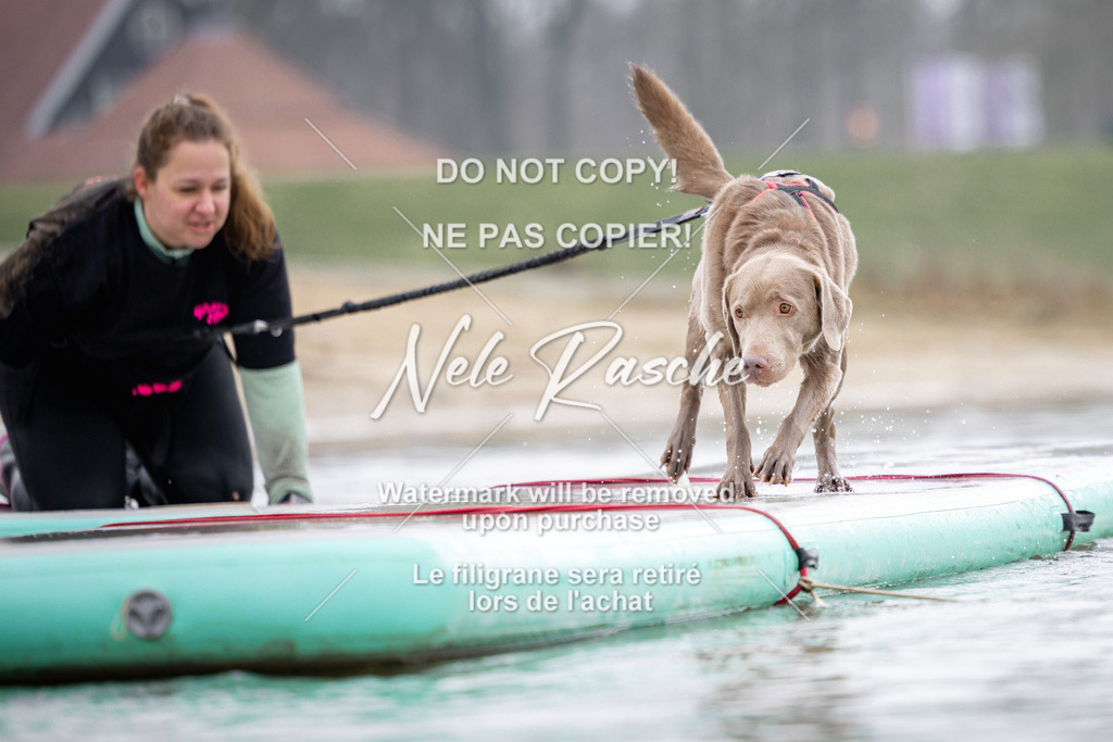 nelerasche_Hulsbeek_Sa1100-1130_333 | nelerasche
