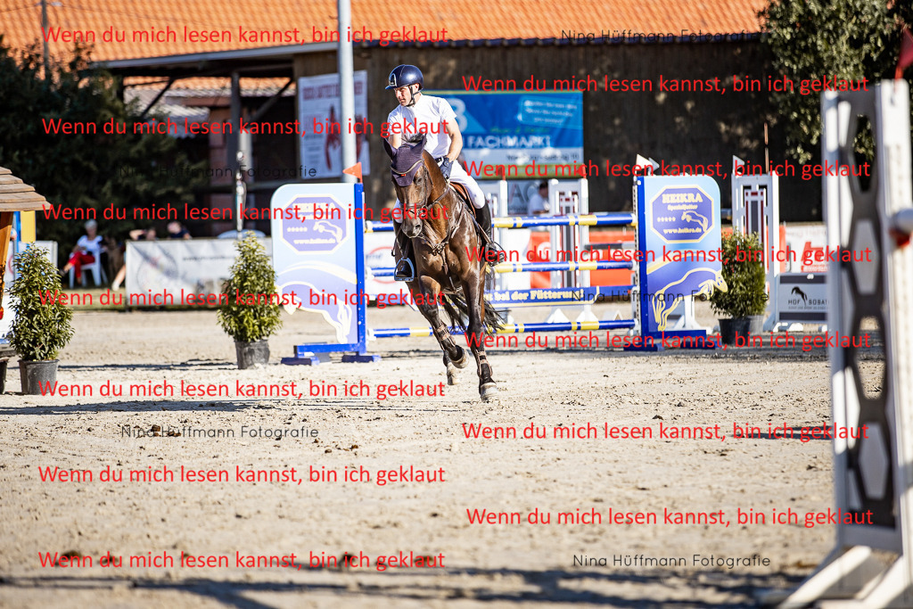 BK1A8268 | Turnierbilder Turnierfotos Nina Hüffmann Turnierfotografie Pferdefotografie Tierzeichnung Haustierzeichnung Pferdezeichnung Hundezeichnung Videograf  - Realisiert mit Pictrs.com