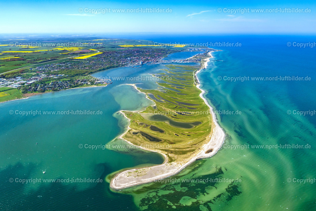 Heiligenhafen_Graswarder_Heiligenhafen_ELS_5868010524010524 | HEILIGENHAFEN 01.05.2024 Küstenbereich mit sandiger Strand- und Gras- Landschaft der Halbinsel Graswarder-Heilgenhafen mit einigen Einfamilienhäusern in Großenbrode im Bundesland Schleswig-Holstein. Weiterführende Informationen bei: NABU Gruppe Heiligenhafen,  Stadt Heiligenhafen. // Coastal area of the peninsula Graswarder-Heilgenhafen with a few single- family houses at the beach in Grossenbrode in the state Schleswig-Holstein. Further information at: NABU Gruppe Heiligenhafen,  Stadt Heiligenhafen. Foto: Martin Elsen
