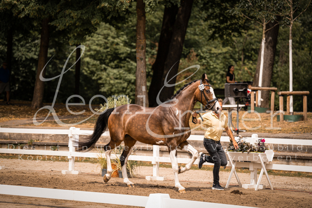 3.Fr00168 | Leoni Ertmer Photography - Realisiert mit Pictrs.com