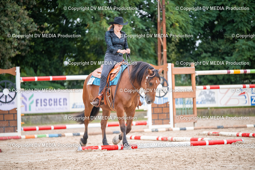 ZS3_4655 | dv-media-shop - Realisiert mit Pictrs.com