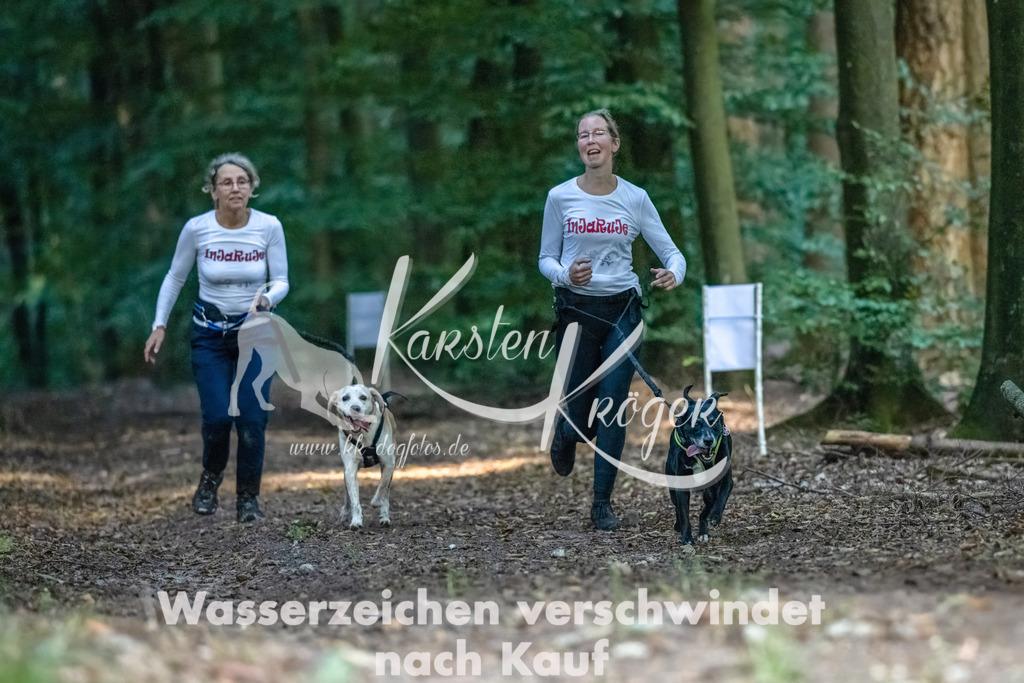 0911_ZZ90492-Bearbeitet | kk-dogfotos