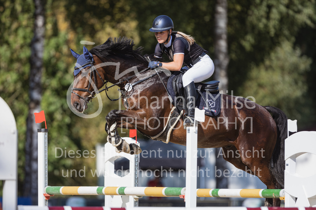 220824_Delbrueck_Stil-M1-269 | Deine schönsten Turniermomente als professionelle Fotos! Entdecke hochwertige Pferdesport-Fotografie im Online-Shop. Jetzt Fotos finden & bestellen!