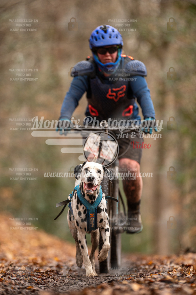 SPA_2023_DIM_Bike-94 | PayLife