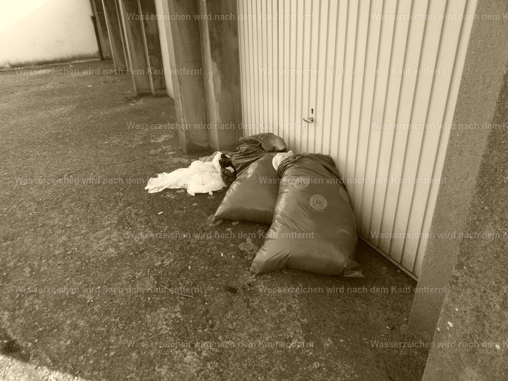 Wilder Müll | Müll entsorgt - Realisiert mit Pictrs.com