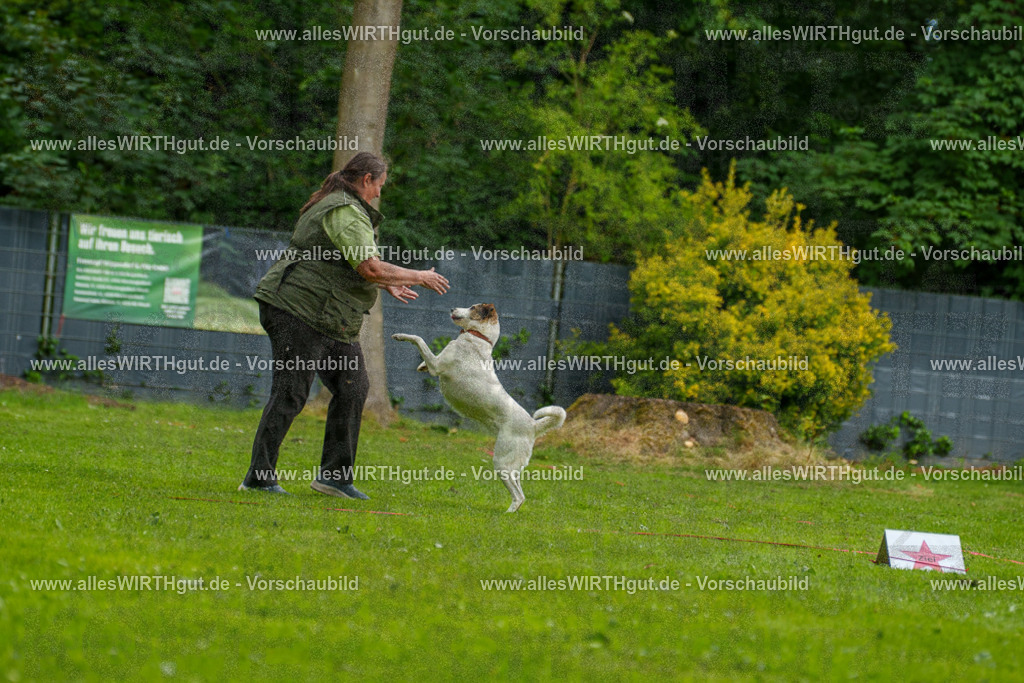 @allesWIRTHgut_Tierfotografie - www.allesWIRTHgut.de - 123210-7R509070 | Professionelle Tierfotografie in Mönchengladbach von Daniel Wirth (allesWIRTHgut). Liebevolle & natürliche Bilder von Hunden & Katzen für unvergessliche Erinnerungen.