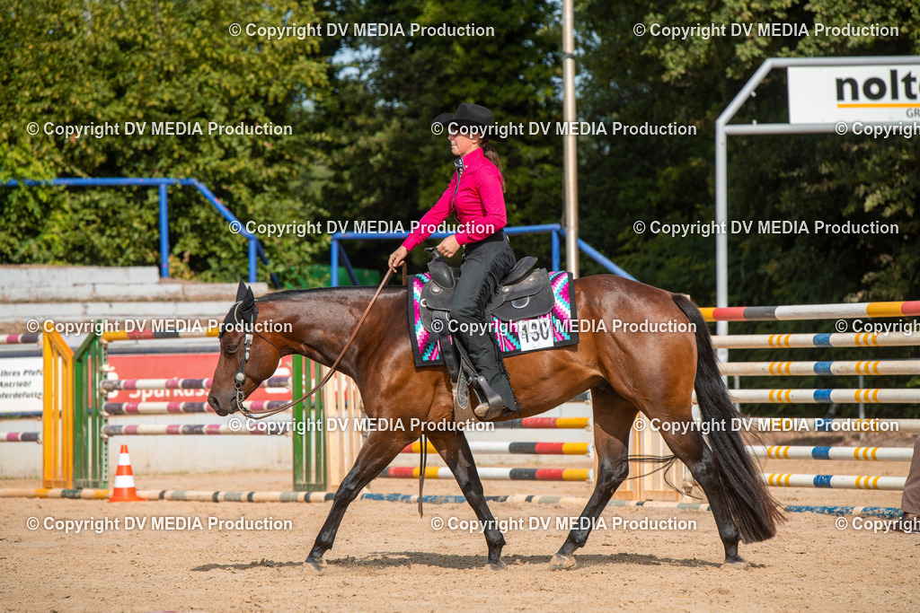 EWP_5791 | dv-media-shop - Realisiert mit Pictrs.com