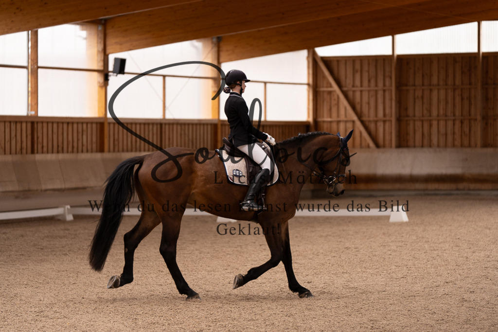 A7506978 | Turnier/Reitfotograf