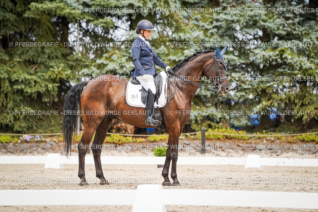 DSC05389 | Pferdegrafie