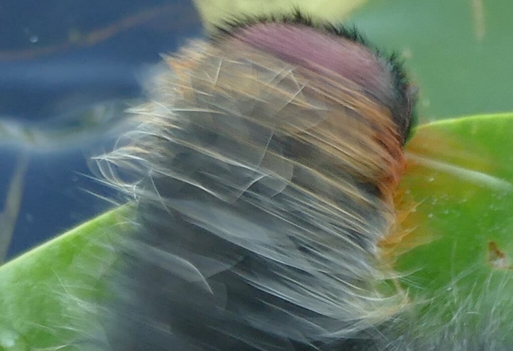 P3800552_b | Annaeherungen - Realisiert mit Pictrs.com