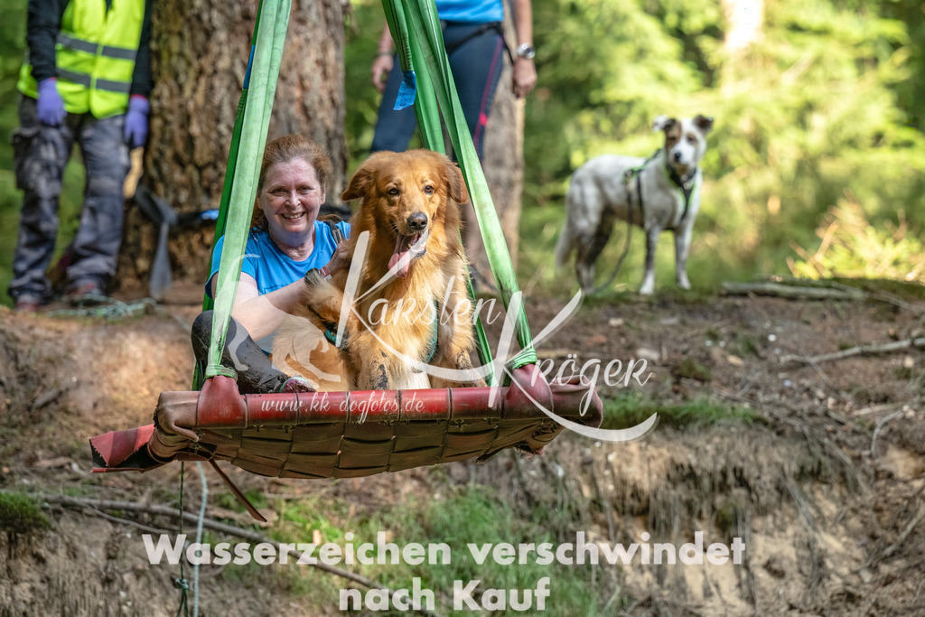 1117_ZZ94576-Bearbeitet | kk-dogfotos