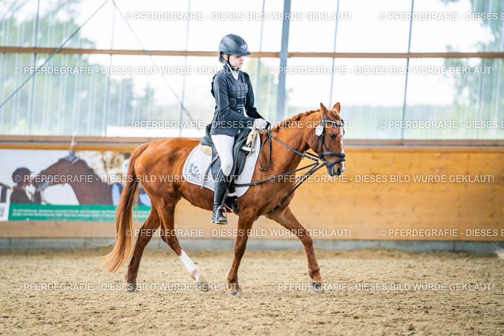 DSC04838 | Pferdegrafie