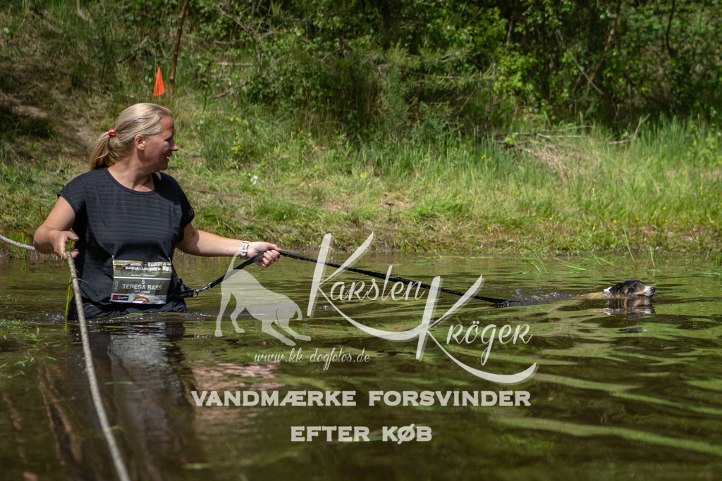 1221DKK992607 | kk-dogfotos