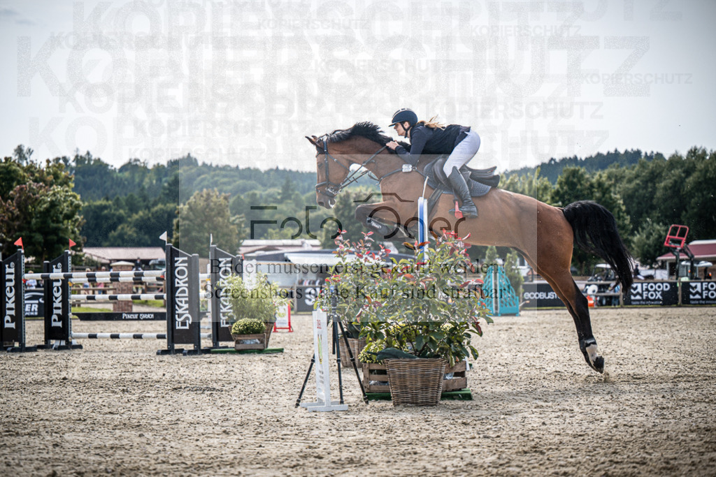 DOS_9757 | Entdecke hochwertige Reitturnierfotos von Foto Oger. Professionell, emotional und authentisch – jetzt Lieblingsmomente im Shop bestellen.Deutschlandweite Turnierfotografie. - Realisiert mit Pictrs.com