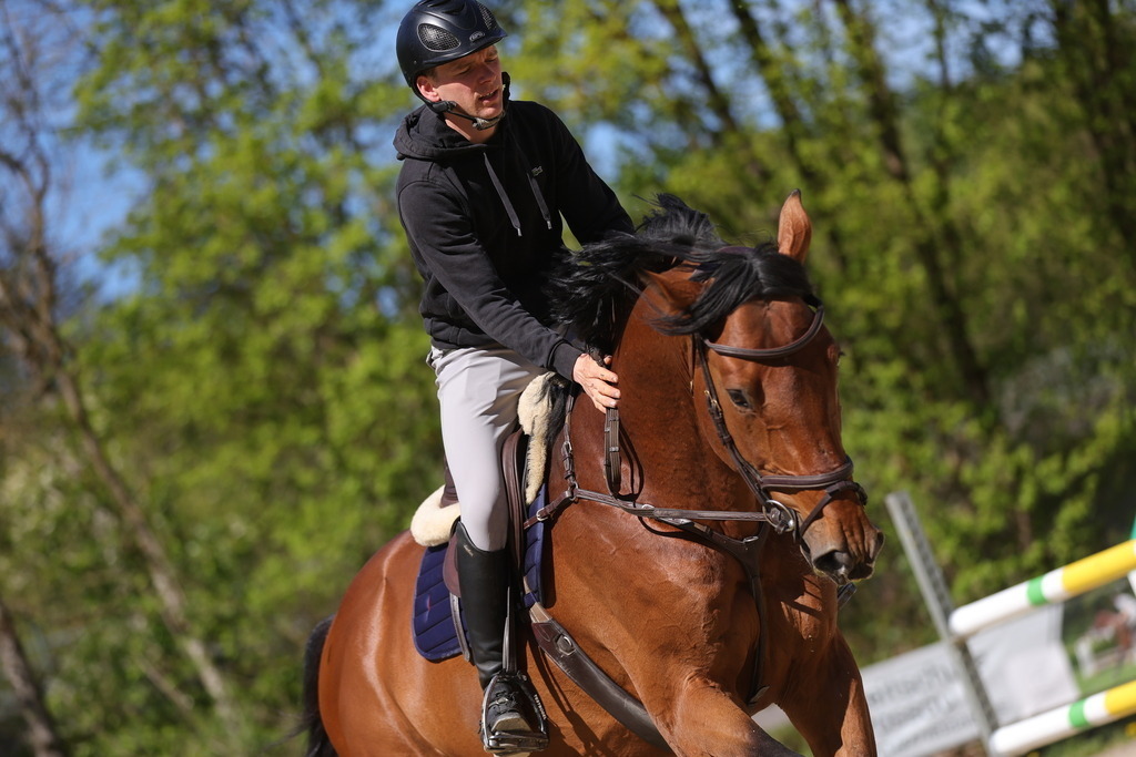 0P6A8173 | Willkommen bei Brunnmayr - Design & Fotografie – Ihrem Spezialisten für Reitturniere und Pferdeveranstaltungen in Oberösterreich, Salzburg und Bayern! Seit über 17 Jahren sind wir leidenschaftlich dabei.