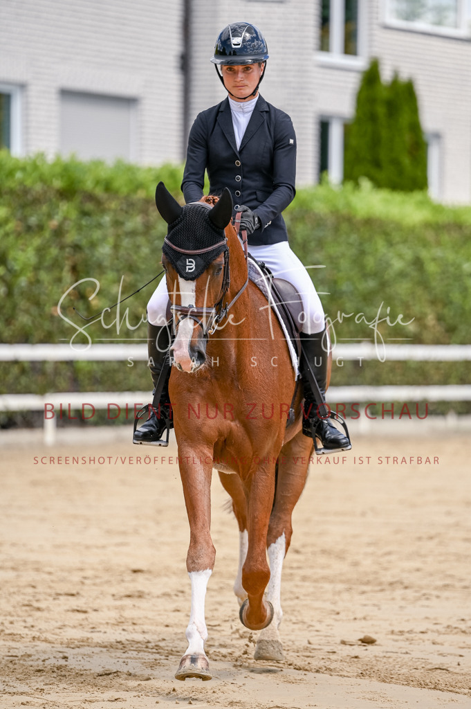 Schugtsche-Aluta25-48.Reitpferfdeprf.-124 | Schugtsche Fotografie - Realisiert mit Pictrs.com