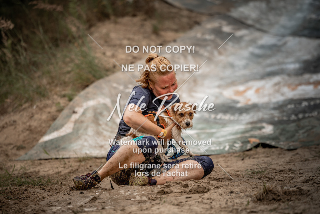 nelerasche_sa0800-1000_246 | nelerasche