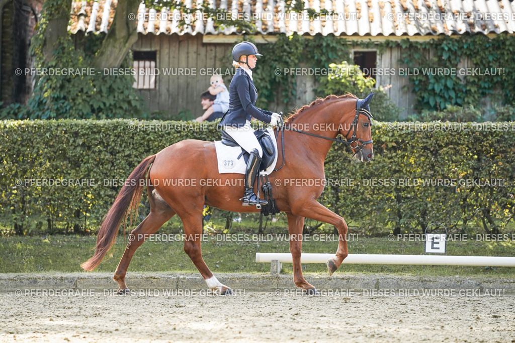 DSC07391 | Pferdegrafie