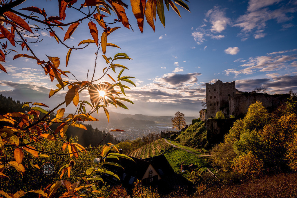 schauenburg-165 | <div id="allefotografen-seal-verified-green"></div><script src="https://www.allefotografen.de/956728/seal-verified-green/seal.js" async="async"></script> - Realisiert mit Pictrs.com