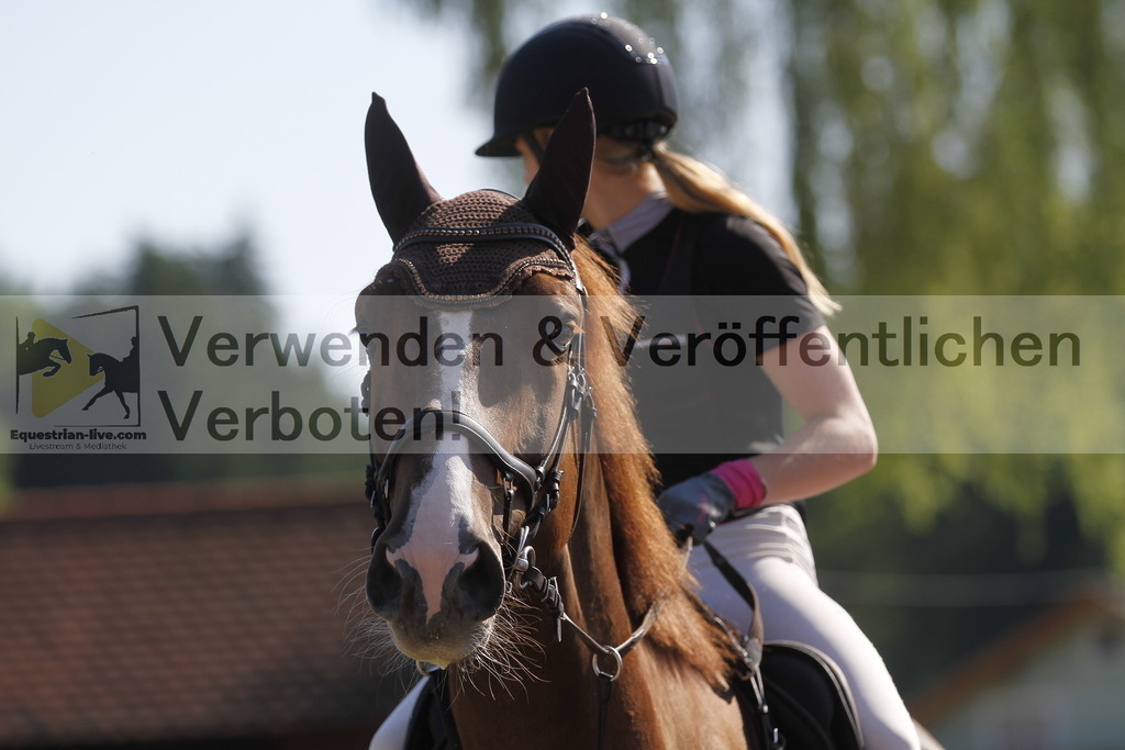_MG_8251 | equestrian-live-com