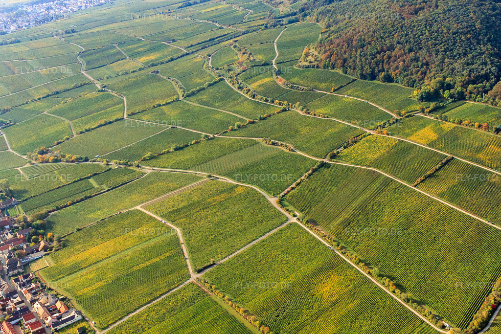 Luftbild: Weinlage Jesuitenmandel in Forst an der Weinstraße im Bundesland Rheinland-Pfalz in Deutschland. Foto: IMG_21979.jpg vom 15.10.2009 durch Werner Riehm/FLY-FOTO.de