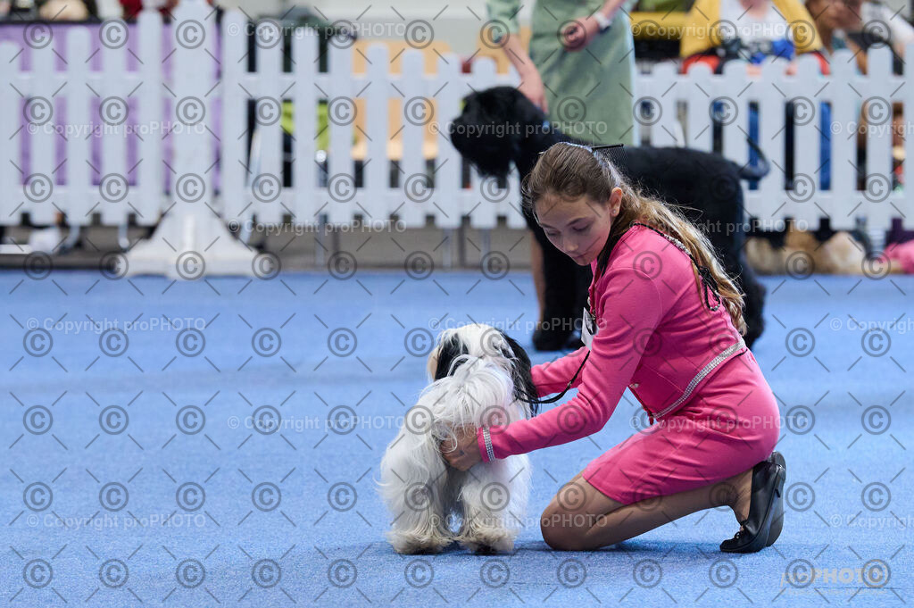 202406_ÖKV-IHA-Tulln24_DSC_4755 | proPHOTO - Realisiert mit Pictrs.com