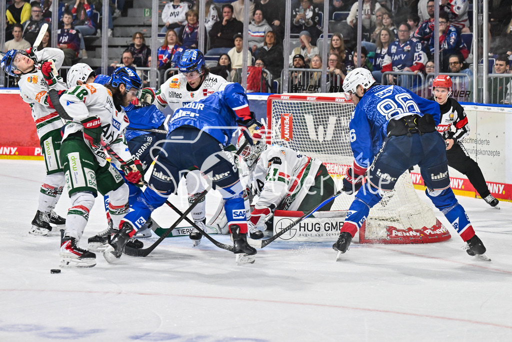 Adler Mannheim - Augsburger Panther | MANNHEIM, DEUTSCHLAND - 25. FEBRUAR: die Panther um Peyton JONES (Augsburger Panther 41) können hier das Tor sauber halten während dem Match zwischen den Adler Mannheim und den Augsburger Panthern am 45. Spieltag der Penny DEL in der SAP Arena