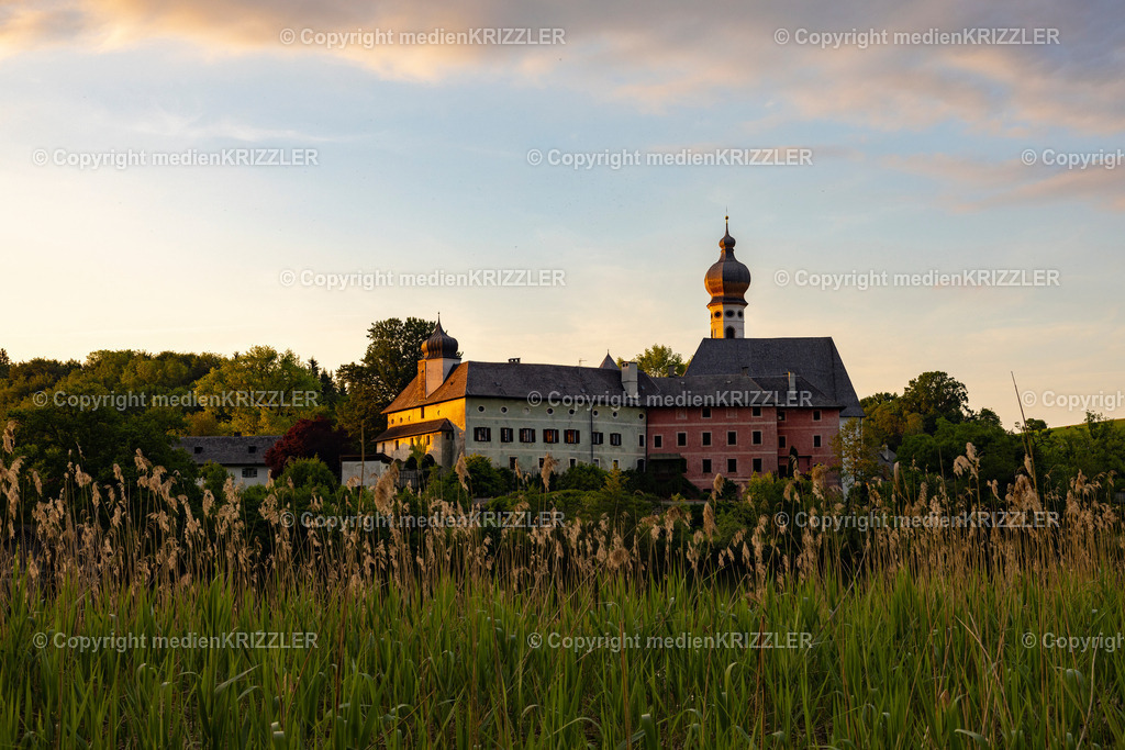 Höglwörther See | medienkrizzler - Realisiert mit Pictrs.com