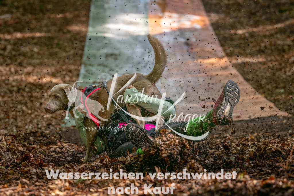 1219_ZZ94025-Bearbeitet | kk-dogfotos