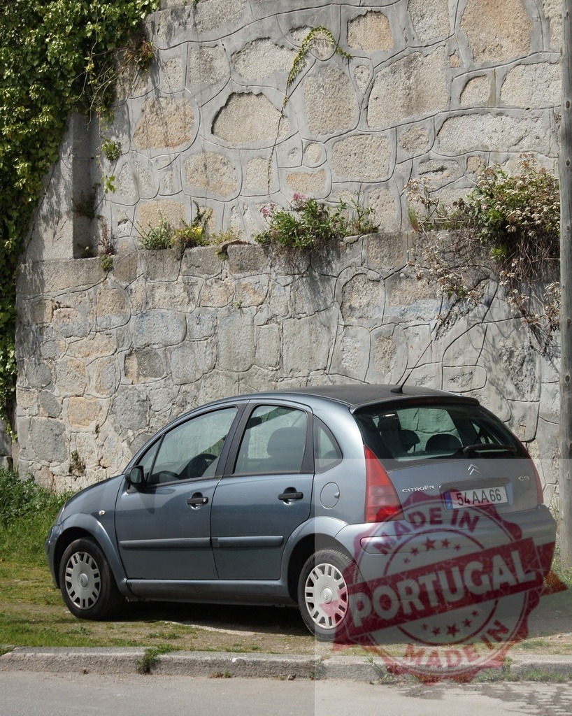 Citroën C3 hatchback parking next to an old stone wall | Modern hatchback car parked on grass by a textured stone wall with green plants - Realized with Pictrs.com