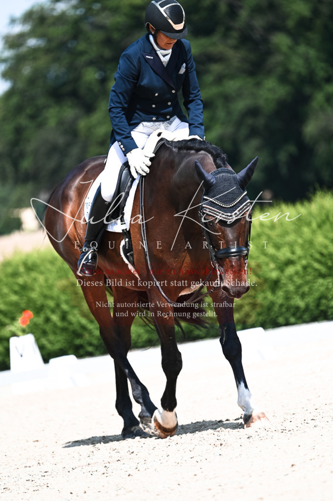 DSC_2918 | Pferde- und Turnierfotografie in Westsachsen. Pferdeportraits, Auftragszeichnungen und intuitive Kunst.