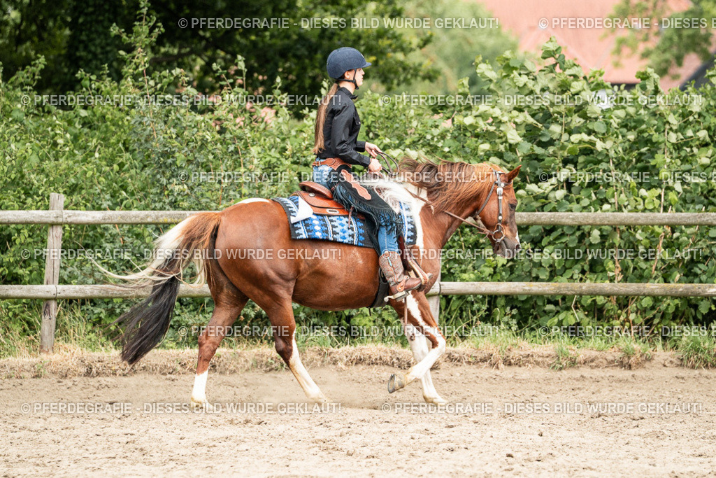 DSC01280 | Pferdegrafie