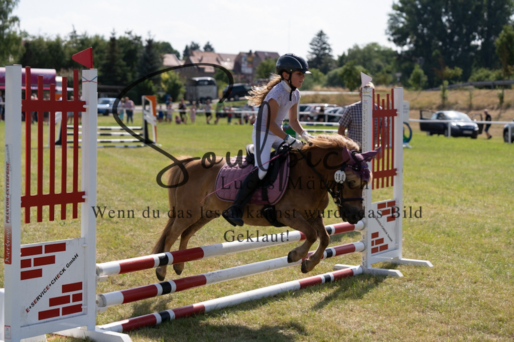 A7V00517 | Turnier/Reitfotograf