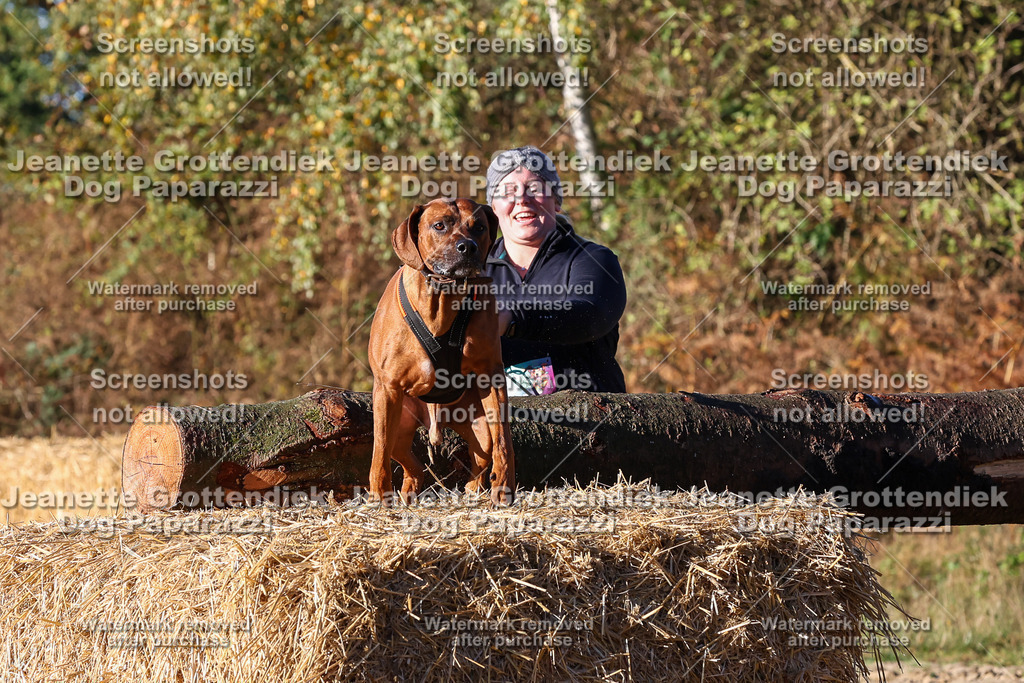 Dog Paparazzi - Strongdog 10-25-1320 | Dog Paparazzi Jeanette Grottendiek Fotografie & Videografie - Realisiert mit Pictrs.com