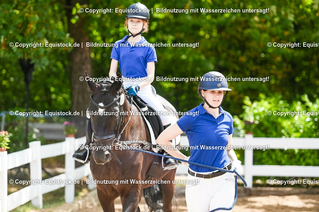 20230716_11_Führzügel-WB_0062 | equistock