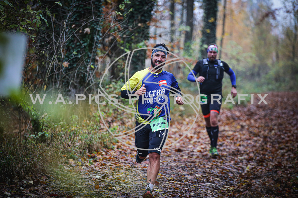 ..... | LEONDING,AUSTRIA,8.November 25, Kürnberglauf 2025  , Image shows: Photo: WAPICS / Andreas Willdoner