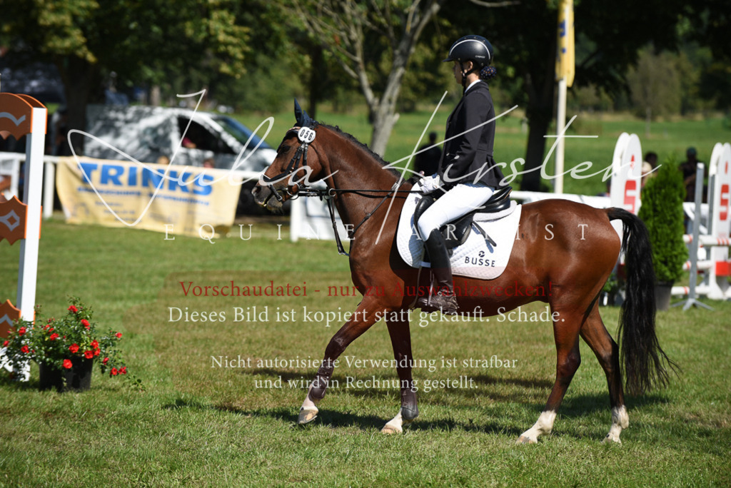 DSC_9558 | Pferde- und Turnierfotografie in Westsachsen. Pferdeportraits, Auftragszeichnungen und intuitive Kunst.