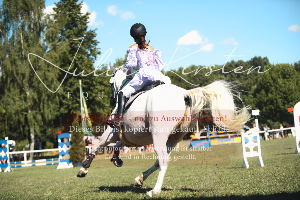 DSC_7553 | Pferde- und Turnierfotografie in Westsachsen. Pferdeportraits, Auftragszeichnungen und intuitive Kunst.