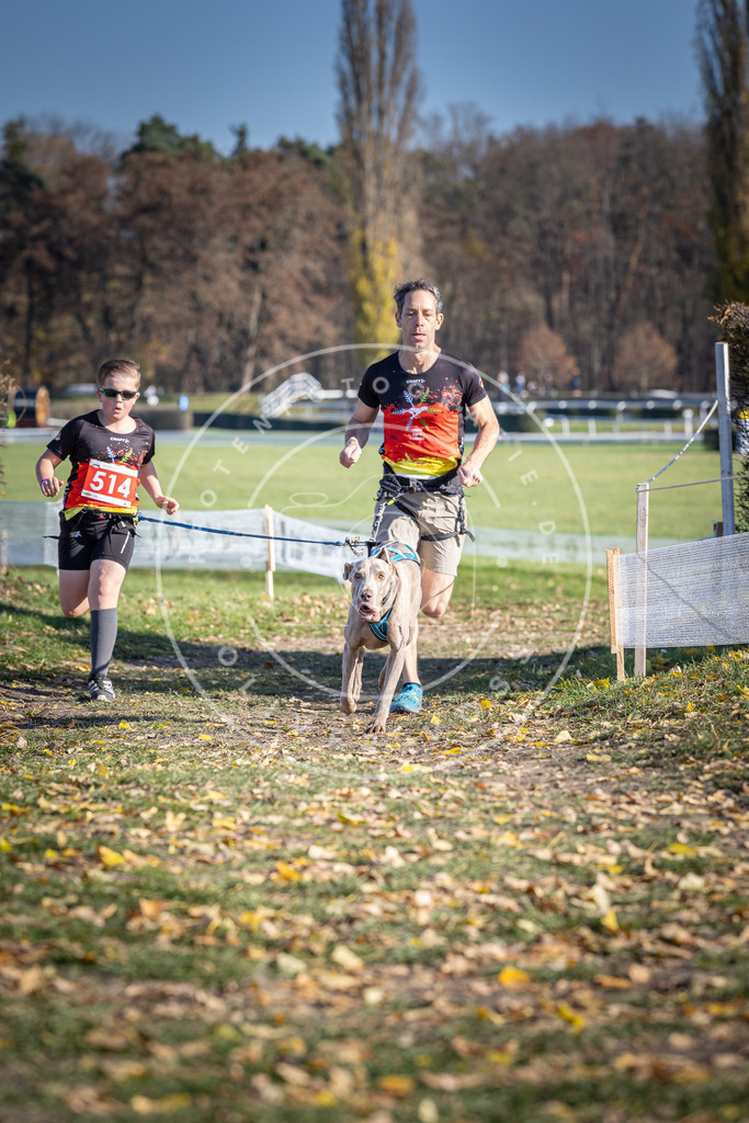 CaniXpix_DV3A7996 | Hundefotografie, Tierfotograf, Pfotenfotografie, Fotoshooting Hund, Hunde Portrait, Hundesport, Hundeportraits, Heideshooting, Hunde, Sportfotograf, Hundefotograf, Turnierhundsport, THS,  - Realisiert mit Pictrs.com