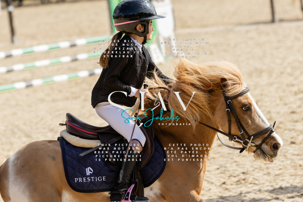 IMG_4463 | s-jay-photography - Realisiert mit Pictrs.com