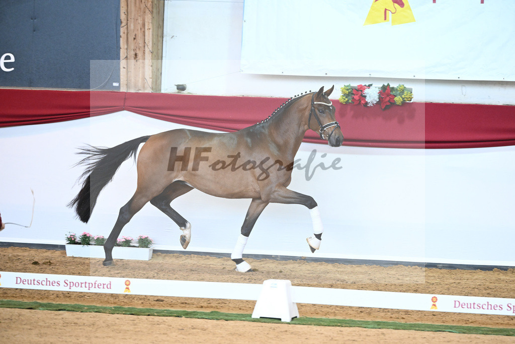 Kat-Nr. 32 Galaxy x Sungold_Lehner_43230450 | hf-fotografie - Realisiert mit Pictrs.com
