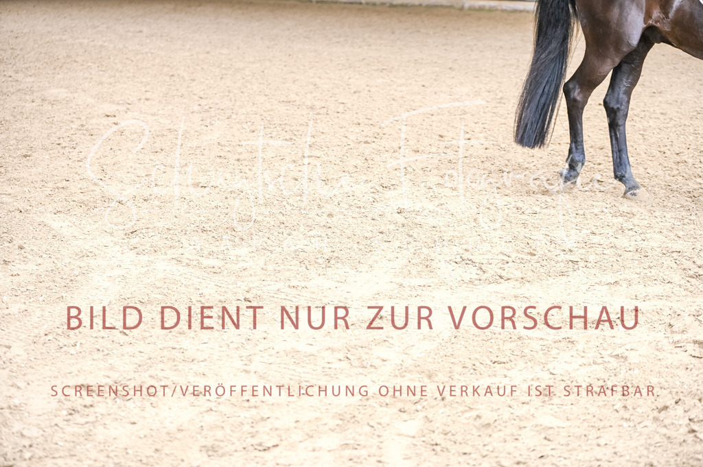 Schugtsche-Aluta25-57.Dressurprf.M1Kand-177 | Schugtsche Fotografie - Realisiert mit Pictrs.com