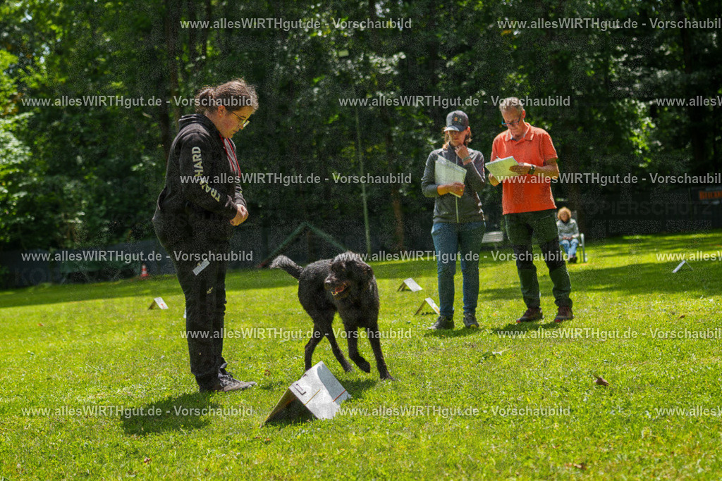 @allesWIRTHgut_Tierfotografie - www.allesWIRTHgut.de - 7R505323 | Professionelle Tierfotografie in Mönchengladbach von Daniel Wirth (allesWIRTHgut). Liebevolle & natürliche Bilder von Hunden & Katzen für unvergessliche Erinnerungen.