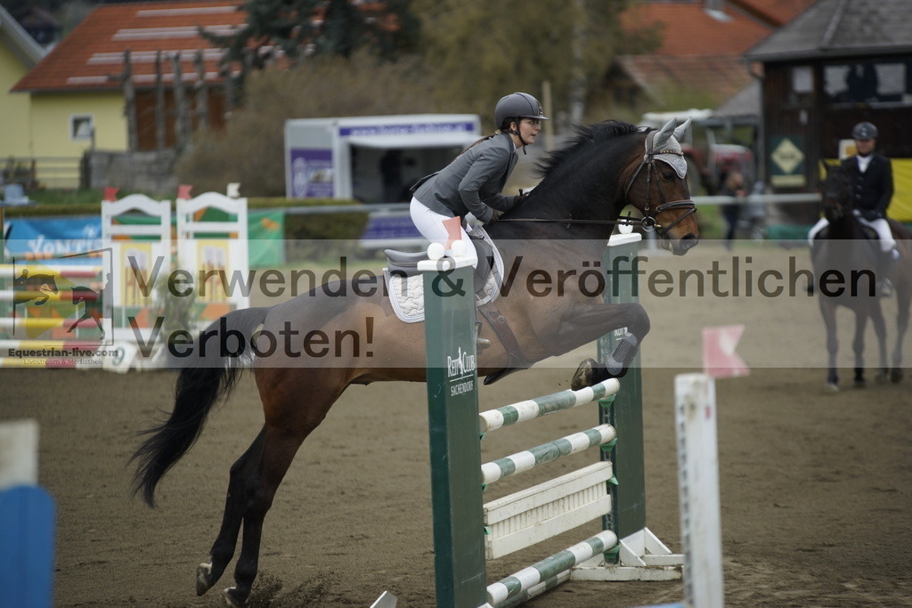_DSC7089 | equestrian-live-com
