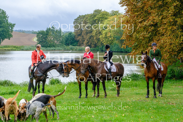 Jagd Kletkamp 26-9597_MarinaHewig | Fotografie, FotoArt, PferdesportArt, Pferdesportfotografie, Landschaftsfotografie, Reisefotografie, Reise, Pferde - Realisiert mit Pictrs.com