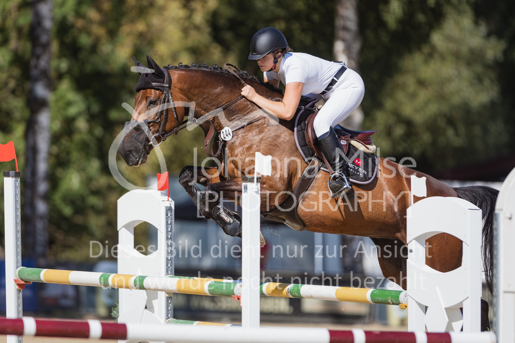 220824_Delbrueck_Stil-M1-250 | Deine schönsten Turniermomente als professionelle Fotos! Entdecke hochwertige Pferdesport-Fotografie im Online-Shop. Jetzt Fotos finden & bestellen!
