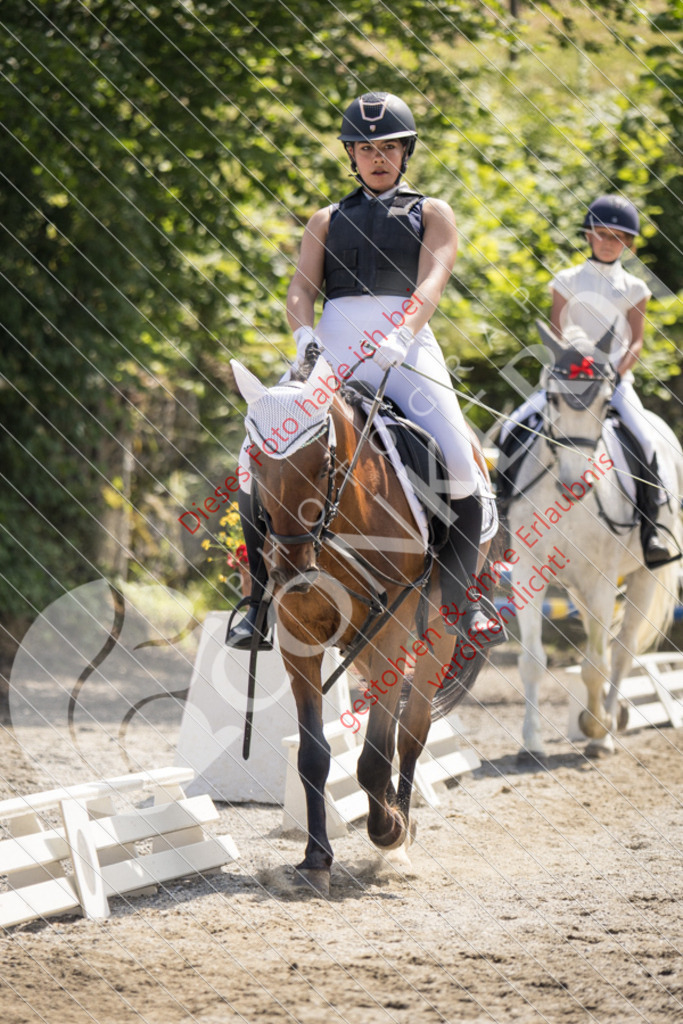 IMG_4892 | Sport-, Event- und Tierfotos in Profiqualität. Einfach auswählen, bestellen und herunterladen. Dein Moment – perfekt festgehalten.